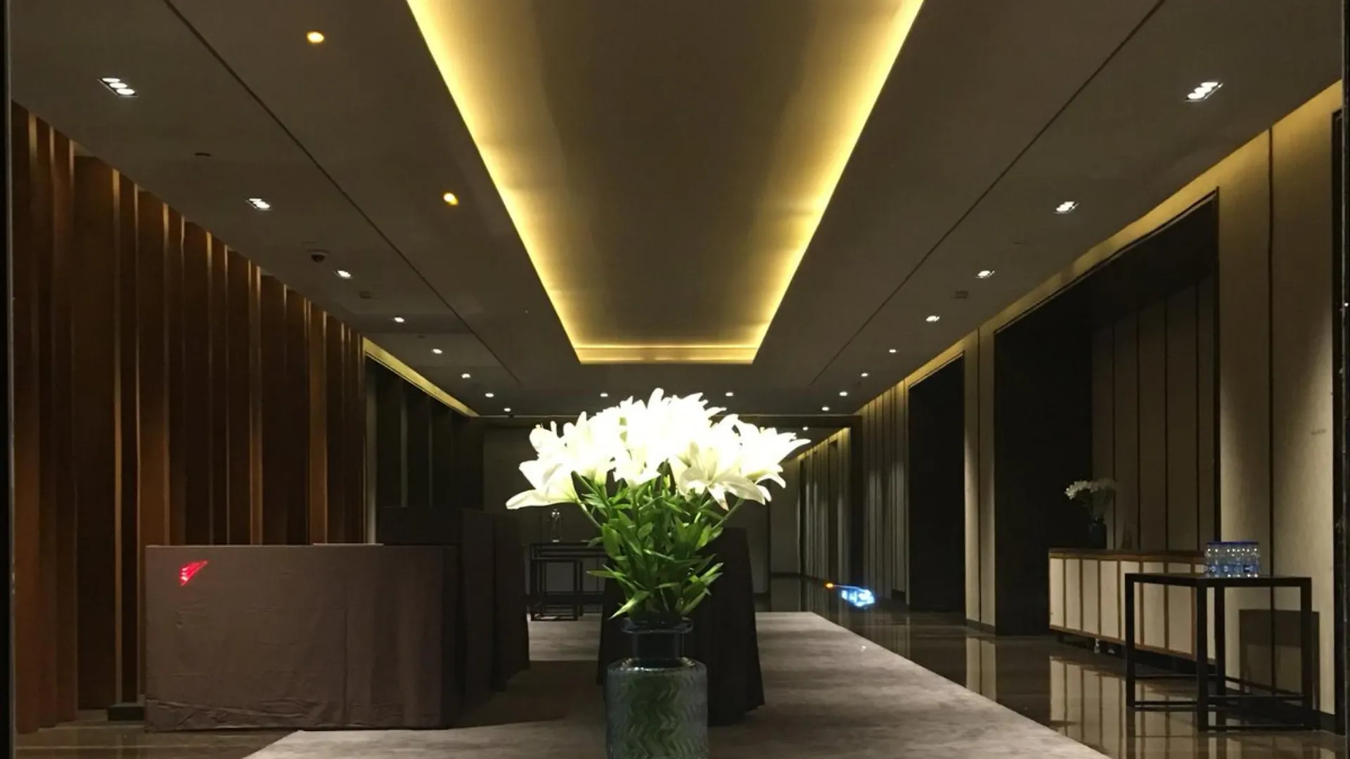 Hotel Roseate House Nuova Delhi